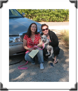 Petey - Adopted October 2011