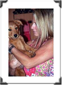 Tessa aka Ginger: Adopted Aug. 2011