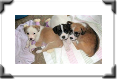 Marnie-Matt-Mark